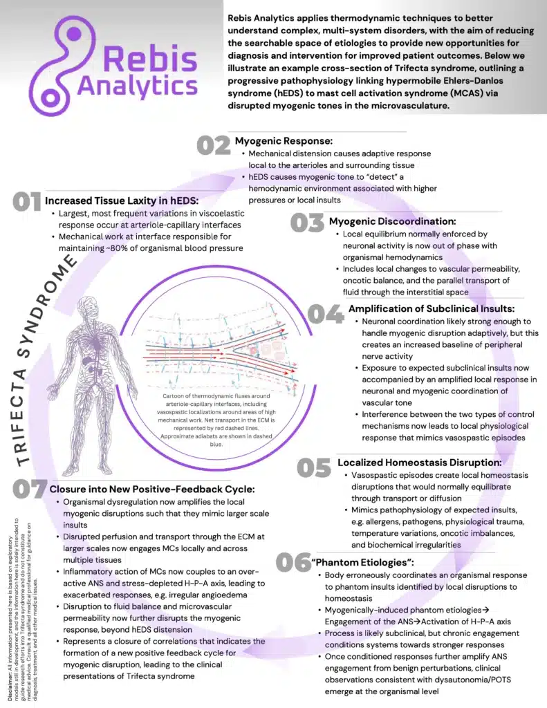 Diagram describing Trifecta Syndrome hypothesis. Using thermodynamics to explain multi-system disorders. Page 1